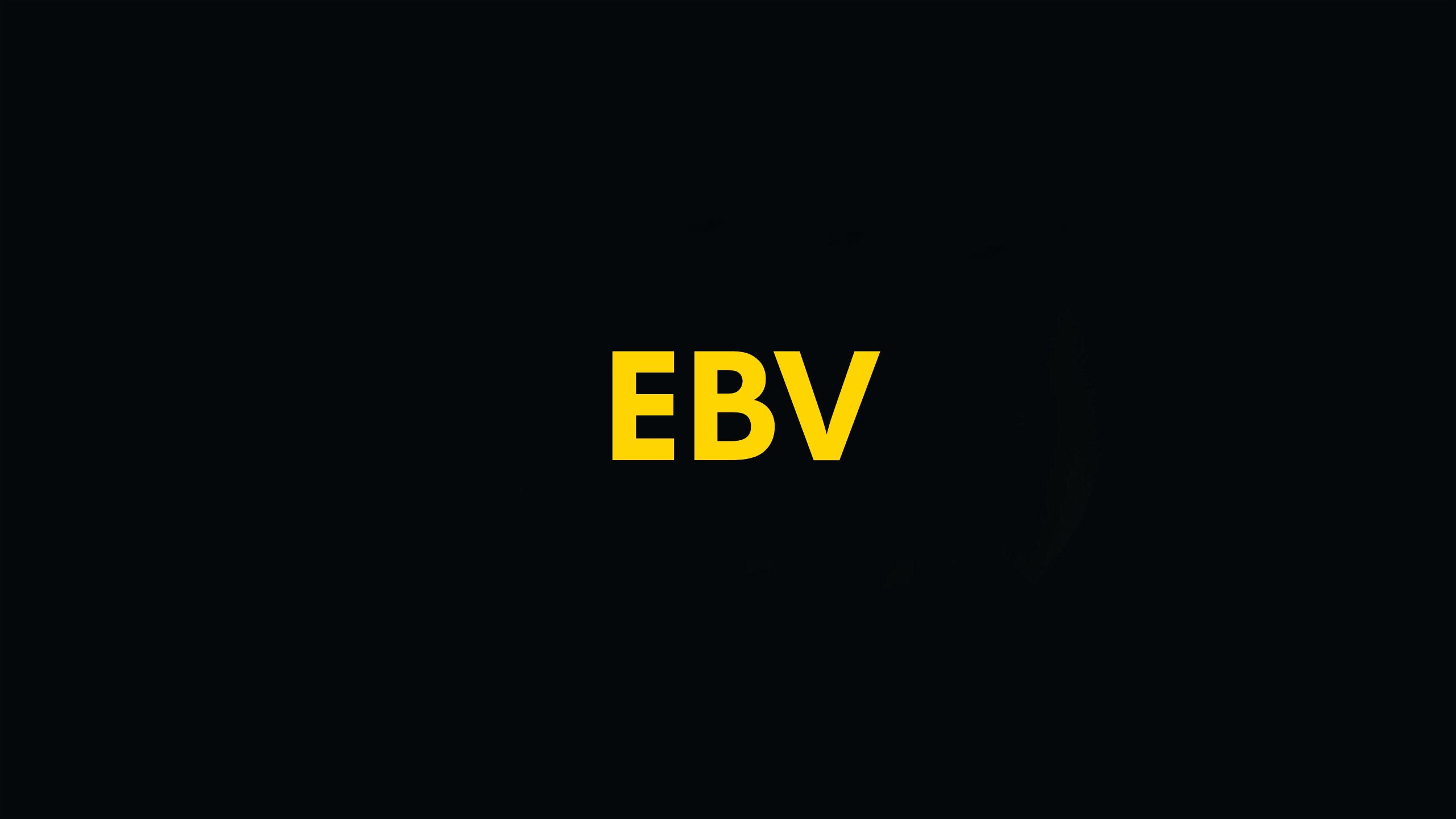 Na obrázku je čierne pozadie, na ktorom sú veľkými žltými písmenami zobrazené iniciály "EBV" a sú skratkou pre elektronický rozdeľovač brzdnej sily.