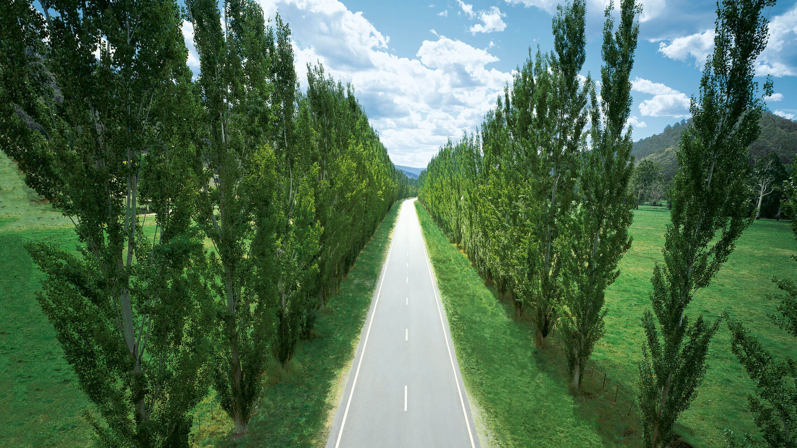Dlhá cesta vedúca cez zelenú krajinu je lemovaná stromami po oboch stranách. Na oblohe sú čiastočne pokryté biele mraky. Na horizonte sú viditeľné hory.